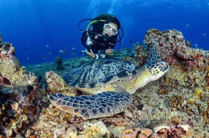 Apo Diver Beach Resort San Juan  Dış mekan fotoğraf